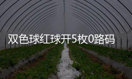 空开5枚码 头奖今年0路双色首次球红球开